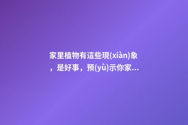 家里植物有這些現(xiàn)象，是好事，預(yù)示你家要發(fā)大財(cái)了！